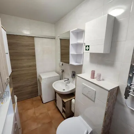 Ela Vital Ferienwohnung St. Blasien Exterior photo